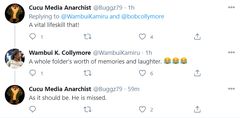Comment posted on Wambui Kamiru Collymore's tweet