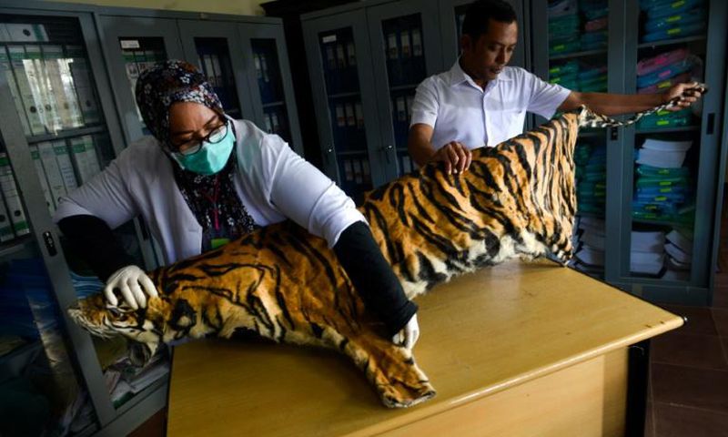Tigers -- thought to number just 22 in Myanmar -- can now be bred for their meat and skin