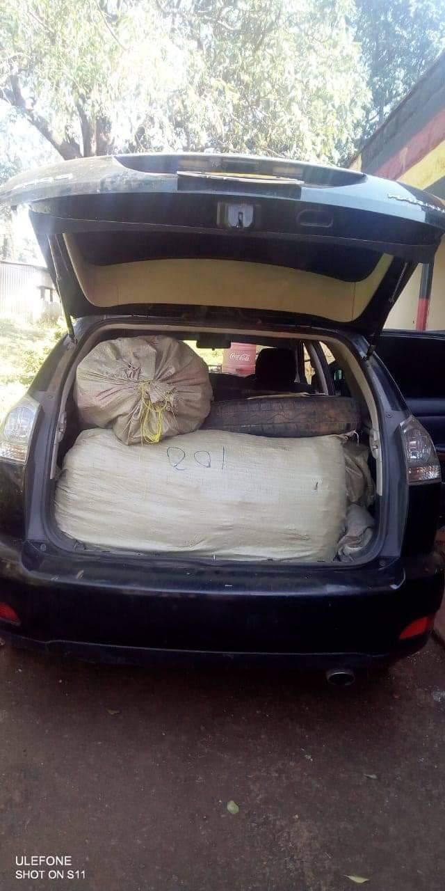 2 arrested as Police nab Sh3.5 million worth of Bhang in Embu