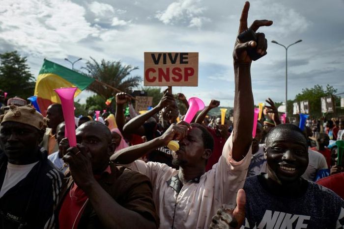 Supporters of the military junta, which calls itself the National Committee for the Salvation of the People, or CNSP, take part in a rally in Bamako this week
