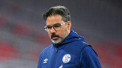 Schalke have fired David Wagner as head coach after 18 matches without a win