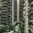 With hardly any residents to care for them, the plants at Chengdu's Qiyi City Forest Garden have overrun the towers