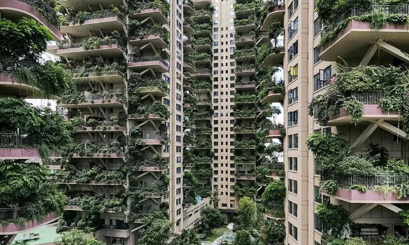 With hardly any residents to care for them, the plants at Chengdu's Qiyi City Forest Garden have overrun the towers