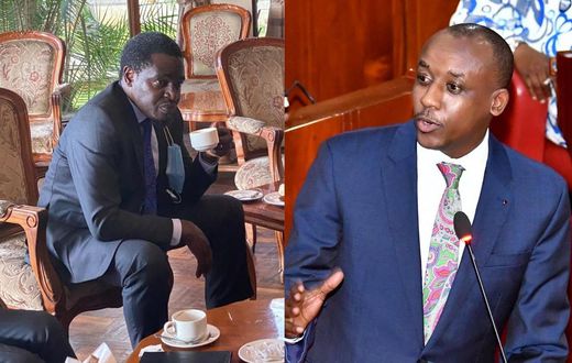 LSK President Nelson Havi and Makueni Senator Mutula Kilonzo Jr