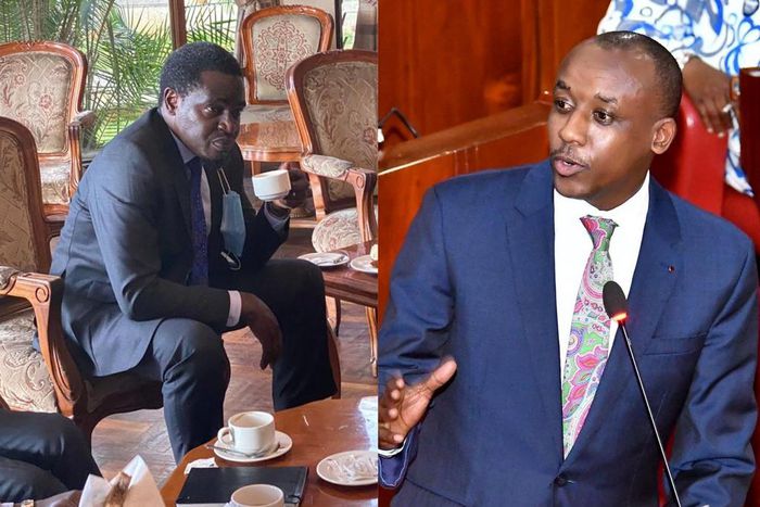 LSK President Nelson Havi and Makueni Senator Mutula Kilonzo Jr