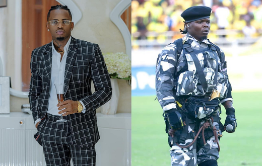 Diamond’s reaction after Harmonize fell from zip line as he made a grand entrance at a show