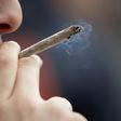 France holds  Europe's top spot for cannabis use