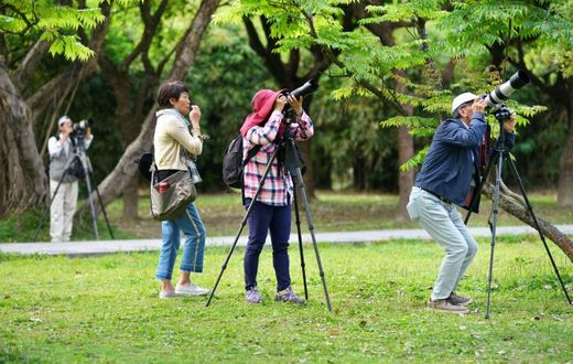 Taiwan bird watchers taking photos at the Da'An Forest Park in Taipei. A Taiwan bird protection group has been ejected from a global body because it refused to sign a statement saying it would never advocate for the island's independence