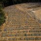 Graves in the Nossa Senhora Aparecida cemetery in Manaus, Brazil -- the country has now registered over 80,000 coronavirus deaths