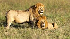 Africa’s top safari park