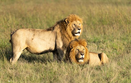 Africa’s top safari park