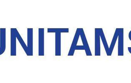 United Nations Integrated Transition Assistance Mission in Sudan (UNITAMS)