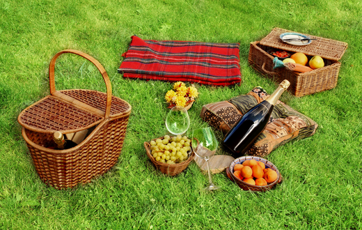 ___8551516___2018___6___28___9___picnic