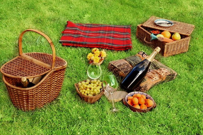 ___8551516___2018___6___28___9___picnic