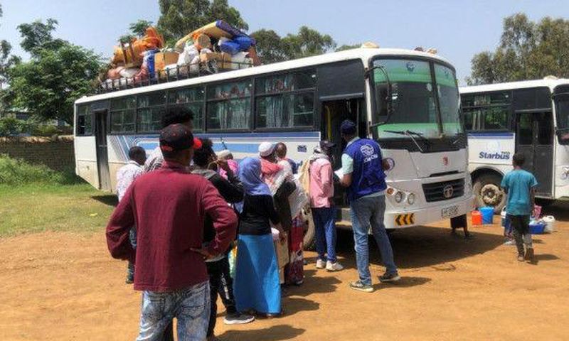 International Organization for Migration (IOM)