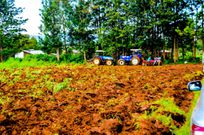 Businessman Joe Kariuki ventures into the lucrative silk farming ‘Sericulture’