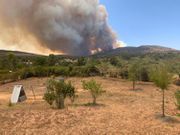 The fire seen as in the 8,000 acres of the Lolldaiga training area, near Nanyuki Image: TWITTER