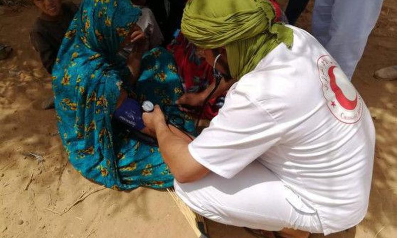 International Federation of Red Cross and Red Crescent Societies (IFRC)