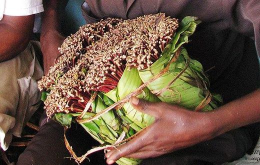 ___7435363___2017___10___9___15___miraa2_1