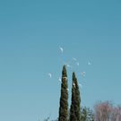 Christian Longomba laid to rest in Los Angeles, California