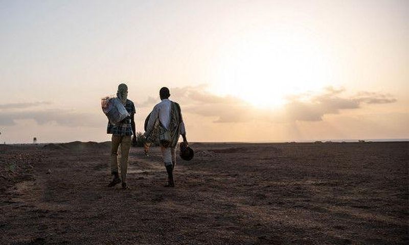 International Organization for Migration (IOM)