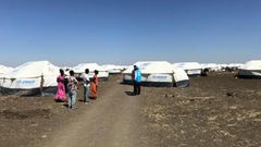 United Nations High Commissioner for Refugees (UNHCR)