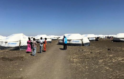 United Nations High Commissioner for Refugees (UNHCR)