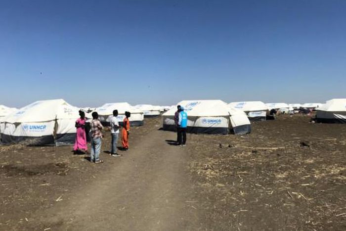 United Nations High Commissioner for Refugees (UNHCR)