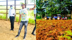 Businessman Joe Kariuki ventures into the lucrative silk farming ‘Sericulture’