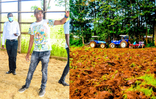 Businessman Joe Kariuki ventures into the lucrative silk farming ‘Sericulture’