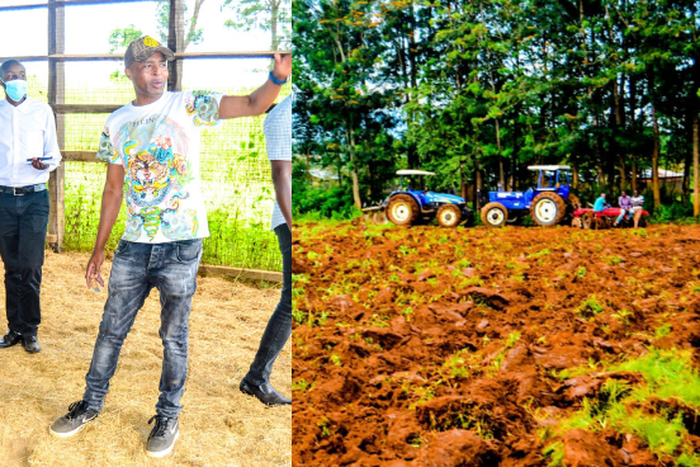 Businessman Joe Kariuki ventures into the lucrative silk farming ‘Sericulture’