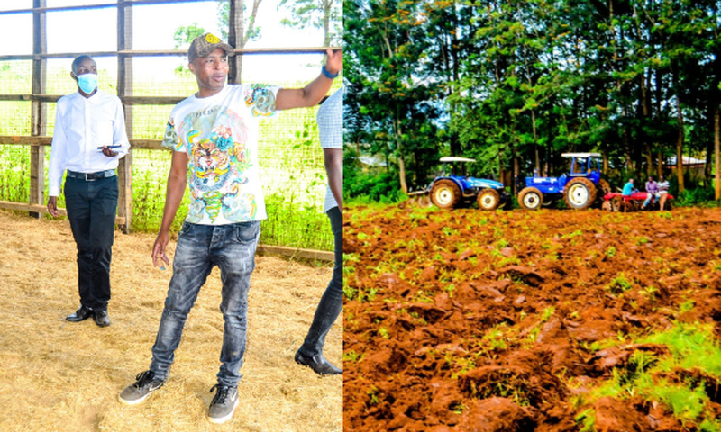 Businessman Joe Kariuki ventures into the lucrative silk farming ‘Sericulture’