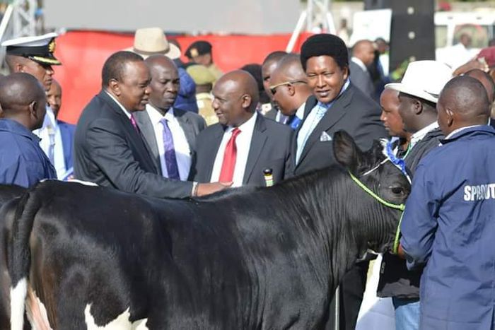 President Uhuru Kenyatta buying a bull for Sh1 million in 2018