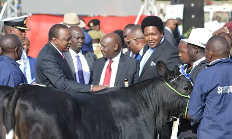 President Uhuru Kenyatta buying a bull for Sh1 million in 2018