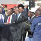 President Uhuru Kenyatta buying a bull for Sh1 million in 2018