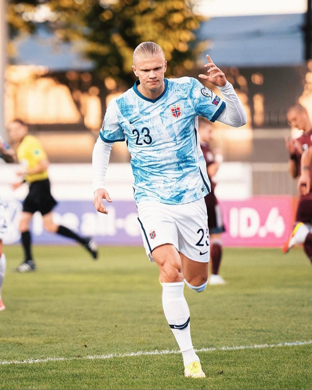 Erling Haaland