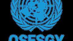 Office of the Special Envoy of the Secretary-General for Yemen (OSESGY)