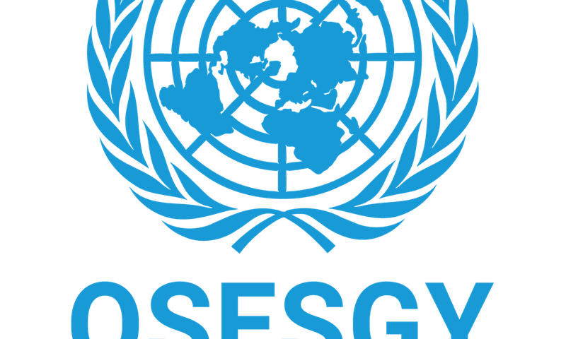 Office of the Special Envoy of the Secretary-General for Yemen (OSESGY)