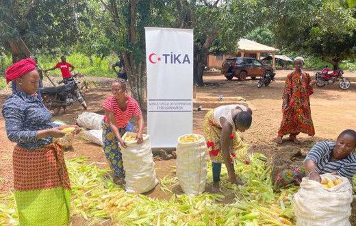 Turkish Cooperation and Coordination Agency (TIKA)