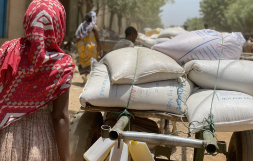 World Food Programme (WFP)
