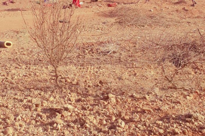 3 dead several injured as Mandera bound bus hits IED