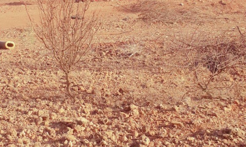3 dead several injured as Mandera bound bus hits IED