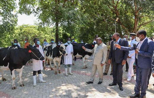 Uhuru’s special gift to visiting Burundian President