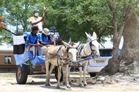 The Baton travelling around Botswana by kart and donkey