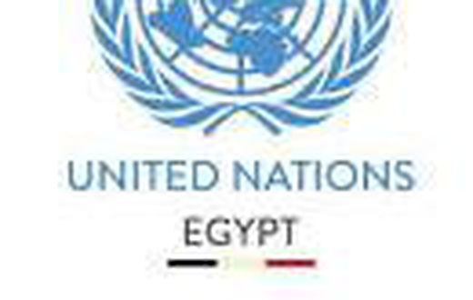 United Nations In Egypt