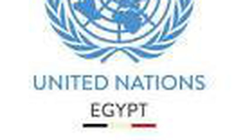 United Nations In Egypt