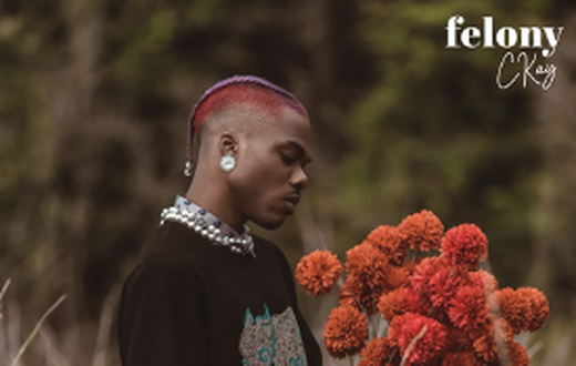 Ckay releases new single, 'Felony.' (Warner)
