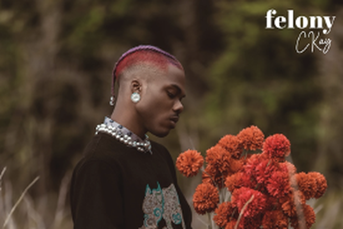 Ckay releases new single, 'Felony.' (Warner)