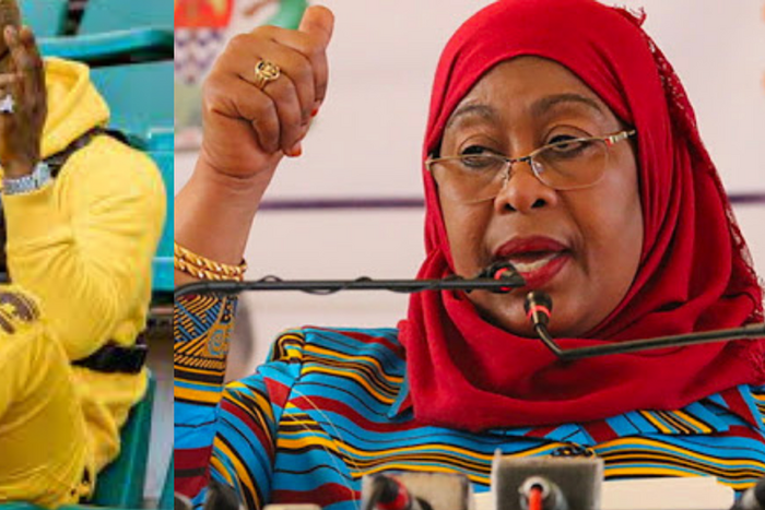 Umeshaanza kujipendekeza- Fans react to Harmonize's song to President Samia