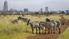 View of Kenya's Capital from Nairobi National Park.